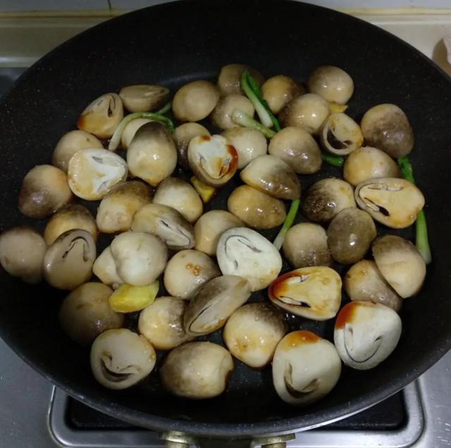 國家蘑菇地理：中國哪里的蘑菇最好吃？